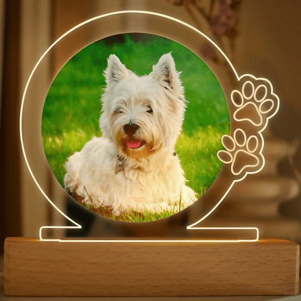 Lámpara Mascota Con Foto Personalizada