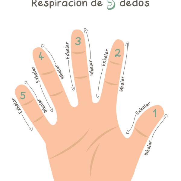 Lámina 'Respiración de 5 dedos'