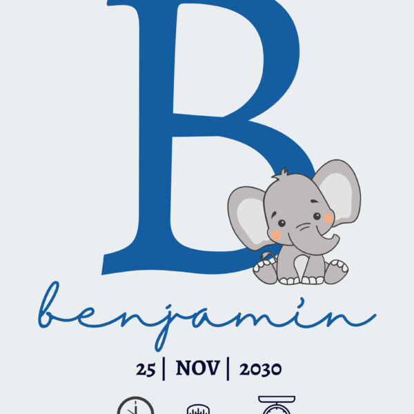 Natalicio Inicial Elefante