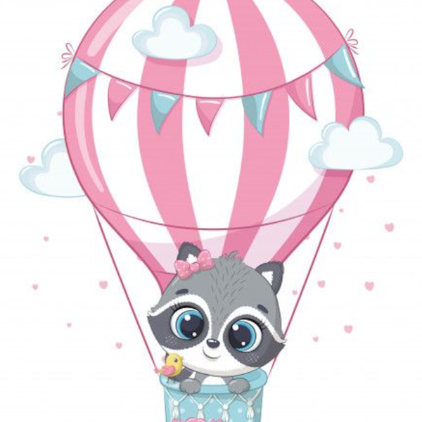 Lámina Mapache en Globo Aerostático